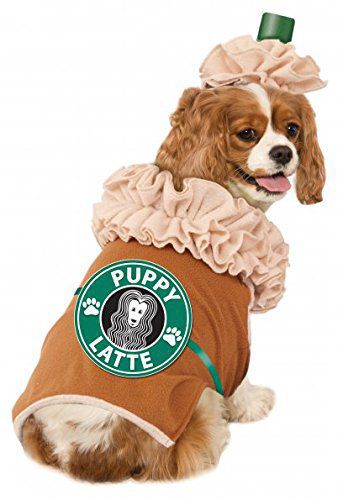 Blossom the barista